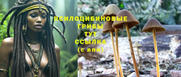кокаин премиум Новодвинск